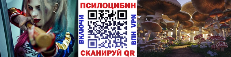 Псилоцибиновые грибы GOLDEN TEACHER  где продают   Зеленокумск 